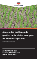 Aperçu des pratiques de gestion de la sécheresse pour les cultures agricoles