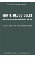 White Blood Cells