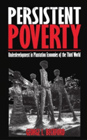 Persistent Poverty