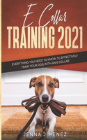 E Collar Training 2021: Everything You Need to Know to Effectively Train Your Dog with an E Collar