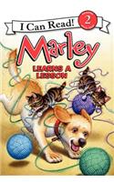 Marley Learns a Lesson