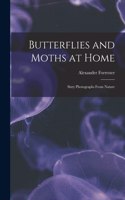 Butterflies and Moths at Home