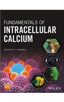 Fundamentals of Intracellular Calcium