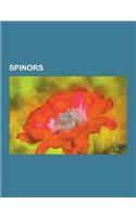 Spinors: Dirac Adjoint, Dirac Equation, Dirac Equation in the Algebra of Physical Space, Dirac Spinor, Fermionic Field, Feynman