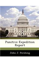 Punitive Expedition Report