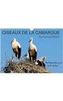 Oiseaux De La Camargue: L'estuaire Du Rhone 2018