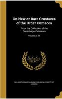 On New or Rare Crustacea of the Order Cumacea
