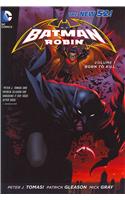 Batman and Robin 1
