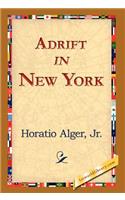 Adrift in New York: (English)