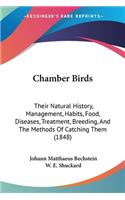 Chamber Birds
