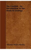 The Crayfish - An Introduction To The Study Of Zoology
