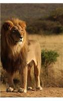MindBlowing Cute Big Cats Journal 3