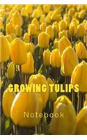 Growing Tulips: 150 page lined notebook