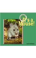 It's a Mouse!