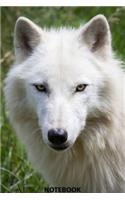 Notebook: Wild Nature Series, Wolf, Journal for Writing, College Ruled, Lined Notebook, Soft Cover, Matte, Size 6"x 9" inches, 120 Pages(6 Wild Nature)