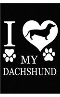 I Love My Dachshund