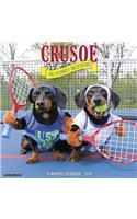 Crusoe the Celebrity Dachshund 2019 Wall Calendar (Dog Breed Calendar)