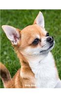 Note Book: Chihuahua Devotion, Notebook, Wide Lined, 200 Paged 7.44 X 9.69, Small Dogs