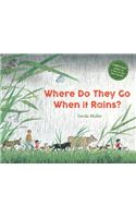 Where Do They Go When It Rains?