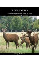 Roe Deer: Fascinating Roe Deer Facts for Kids with Stunning Pictures!