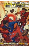 Nightwing and Flamebird Vol. 2.