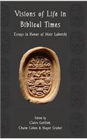 Visions of Life in Biblical Times: Essays in Honor of Meir Lubetski