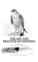 Art and Practice of Hawking