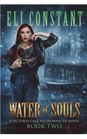 Water of Souls