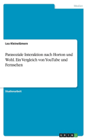 Parasoziale Interaktion nach Horton und Wohl. Ein Vergleich von YouTube und Fernsehen