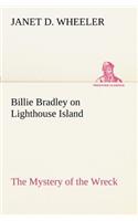 Billie Bradley on Lighthouse Island The Mystery of the Wreck