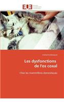Les Dysfonctions de l'Os Coxal: (Omn.Univ.Europ.)