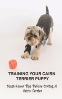 Training Your Cairn Terrier Puppy