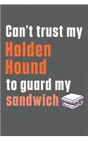 Can't trust my Halden Hound to guard my sandwich: For Halden Hound Dog Breed Fans