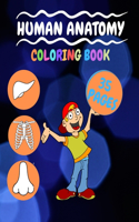 Human Anatomy Coloring Book: Activity book Practical fun for preschoolers