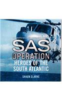 Heroes of the South Atlantic