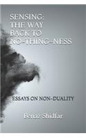 Sensing - The Way Back to No-Thing-Ness