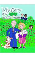 Steck-Vaughn Pair-It Books Proficiency Stage 6: Leveled Reader 6pk Mystery at the White House(Steck-Vaughn Pair-It Books Proficiency Stage 6)