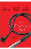 In a Cowboy's Bed