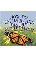 How Do Caterpillars Become Butterflies?
