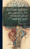 Recherches Sur Le Cerveau Du Protopterus Annectens