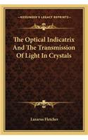 Optical Indicatrix and the Transmission of Light in Crystals