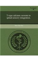 T-Type Calcium Currents in Spinal Sensory Integration