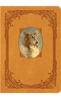 Lassie Come-Home: Collector's Edition