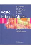 Acute Ischemic Stroke: Imaging and Intervention