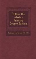 Follow the Whale