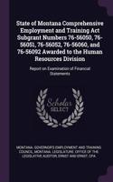 State of Montana Comprehensive Employment and Training ACT Subgrant Numbers 76-56050, 76-56051, 76-56052, 76-56060, and 76-56092 Awarded to the Human Resources Division