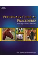 Veterinary Clinical Procedures in Large Animal Practice