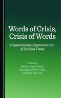 Words of Crisis, Crisis of Words: Ireland and the Representation of Critical Times