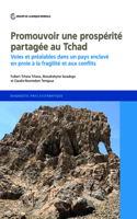 Stimuler une prosperite partagee au Chad