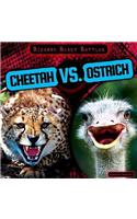 Cheetah vs. Ostrich